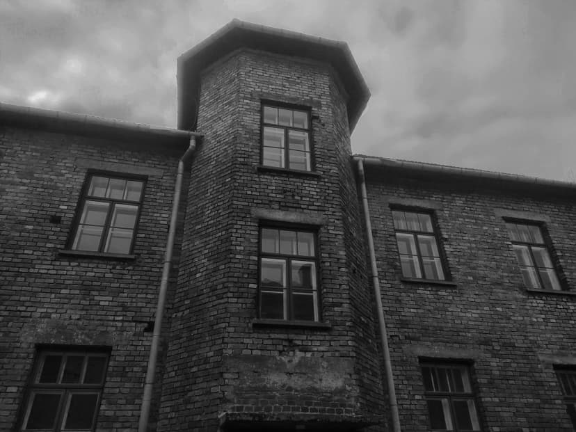 Galerie image 1 pour Photographie d'Auschwitz-Birkenau