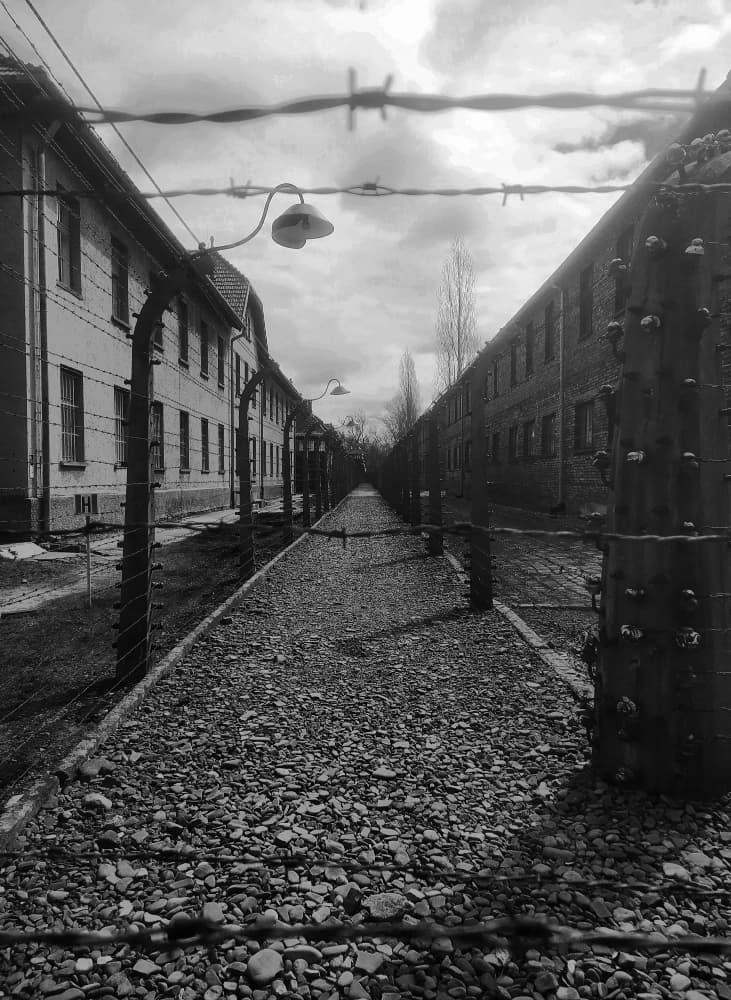 Galerie image 2 pour Photographie d'Auschwitz-Birkenau