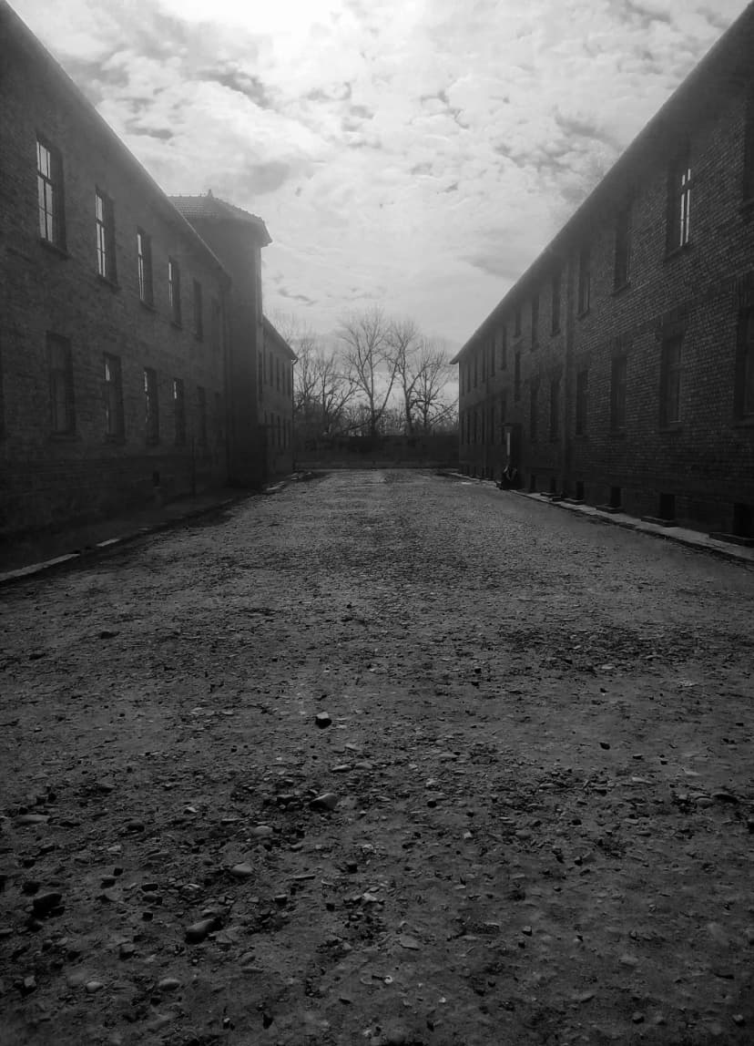 Galerie image 3 pour Photographie d'Auschwitz-Birkenau