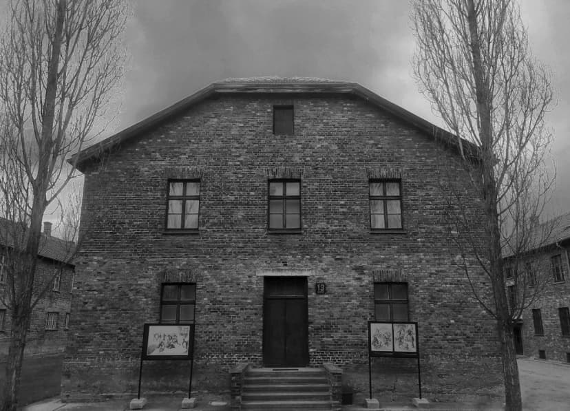 Galerie image 4 pour Photographie d'Auschwitz-Birkenau