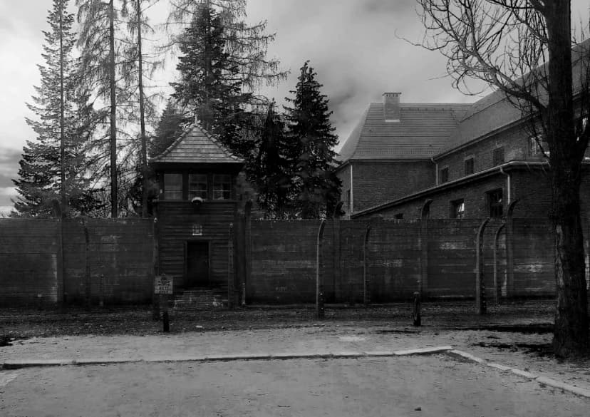 Galerie image 5 pour Photographie d'Auschwitz-Birkenau