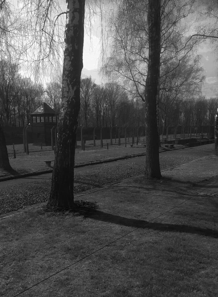 Galerie image 6 pour Photographie d'Auschwitz-Birkenau