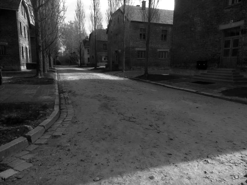 Galerie image 7 pour Photographie d'Auschwitz-Birkenau
