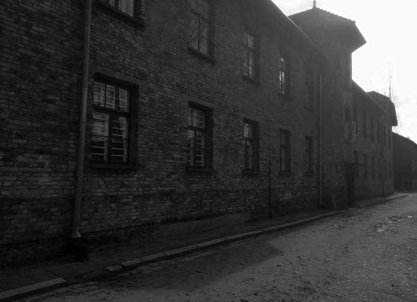 Galerie image 8 pour Photographie d'Auschwitz-Birkenau