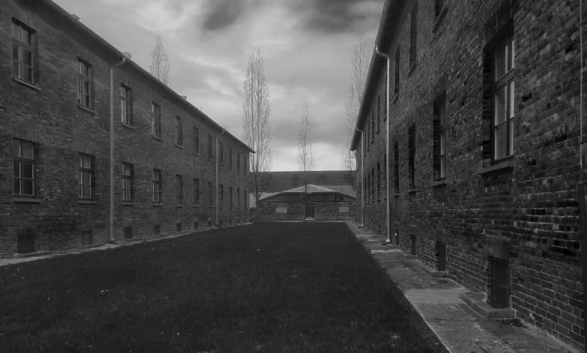 Galerie image 9 pour Photographie d'Auschwitz-Birkenau