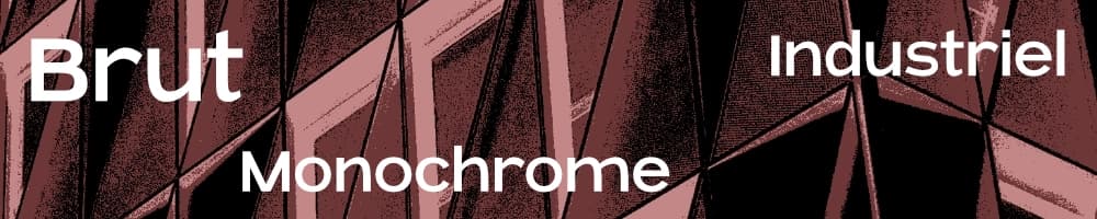 Photographie Monochrome