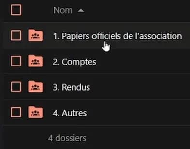 Galerie image 6 pour Gestion des Associations