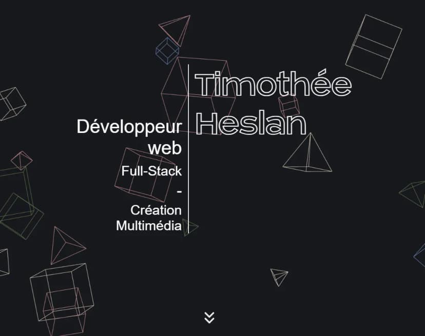 Galerie image 1 pour Portfolio Personnel